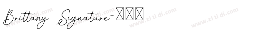 Brittany Signature字体转换